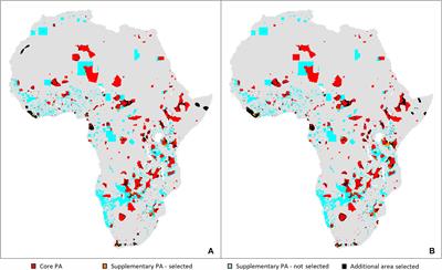 Conserving African Ungulates Under Climate Change: Do Communal and Private Conservancies Fill Gaps in the Protected Area Network Effectively?